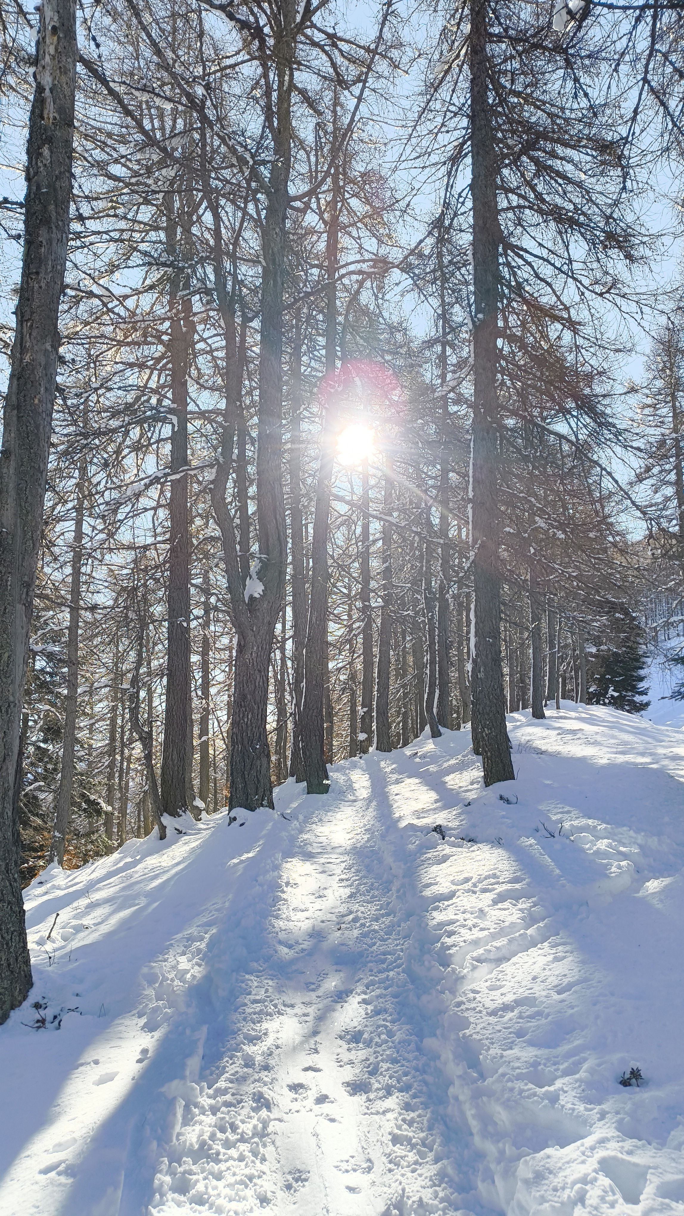 Foto n° 16 del trekking Cimone di Margno